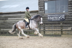 SBM_008098