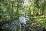River Caerfanell