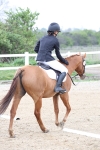 SBM_006591