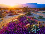 Istock #15915514