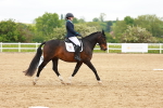 SBM_006591