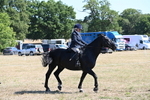 WJ6_8276