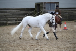 SBM_006407