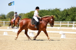 SBM_011800