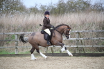 SBM_006096