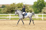 SBM_001182