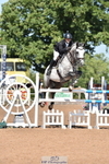 Cls 9 Foxhunter portfolio