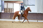 SBM_000724