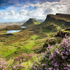 PS043 My Bonnie Heather , Isle of Skye