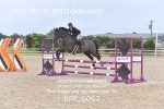 BPP_6093