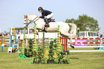 SBM_01538
