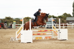 SBM_005008