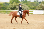 SBM_004692