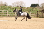 SBM_001599