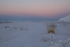 Winter 44