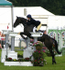 5  Show Jumping