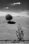 Bentha Hill 02