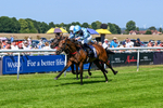 230626-Race 3-Tamzan-0691