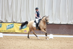 SBM_004619