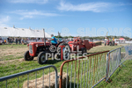 Guernsey Agricultural Show 2021-222