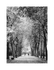 Autumn - parc Bertrand