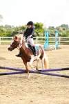SBM_006480