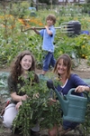 Allotment promotion press campaign