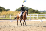 SBM_007619