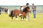 SBM_04364