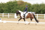 SBM_001813
