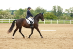 SBM_006343