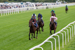 190826-Race 3-Maltese Cross-0326
