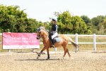SBM_002156