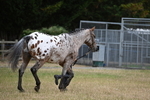 WJ6_8509
