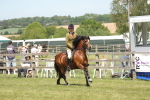 SBM_06910