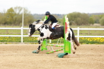 SBM_004254