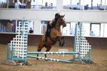 SBM_000575