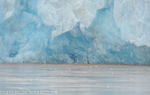 The West coast glacier snout.