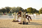J11 - Junior Pony 50cm Championship portfolio