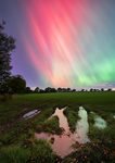 The Northern Lights