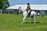 SBM_03773