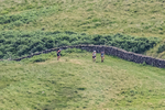 Wasdale-6