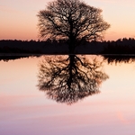 Landscape-008