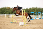SBM_026256