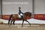 BPP_9379