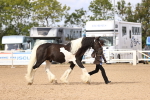 SBM_09333