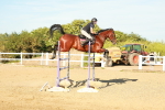 SBM_003369