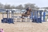 BPP_4533