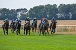 160726-Race 4-Park Lane Penny-4643