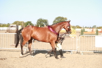 SBM_00169